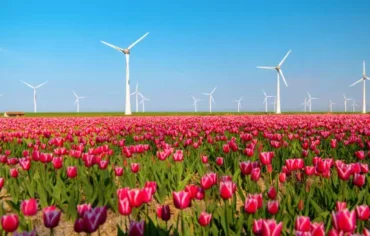 Windmolens in Nederland die de energietransitie symboliseren.